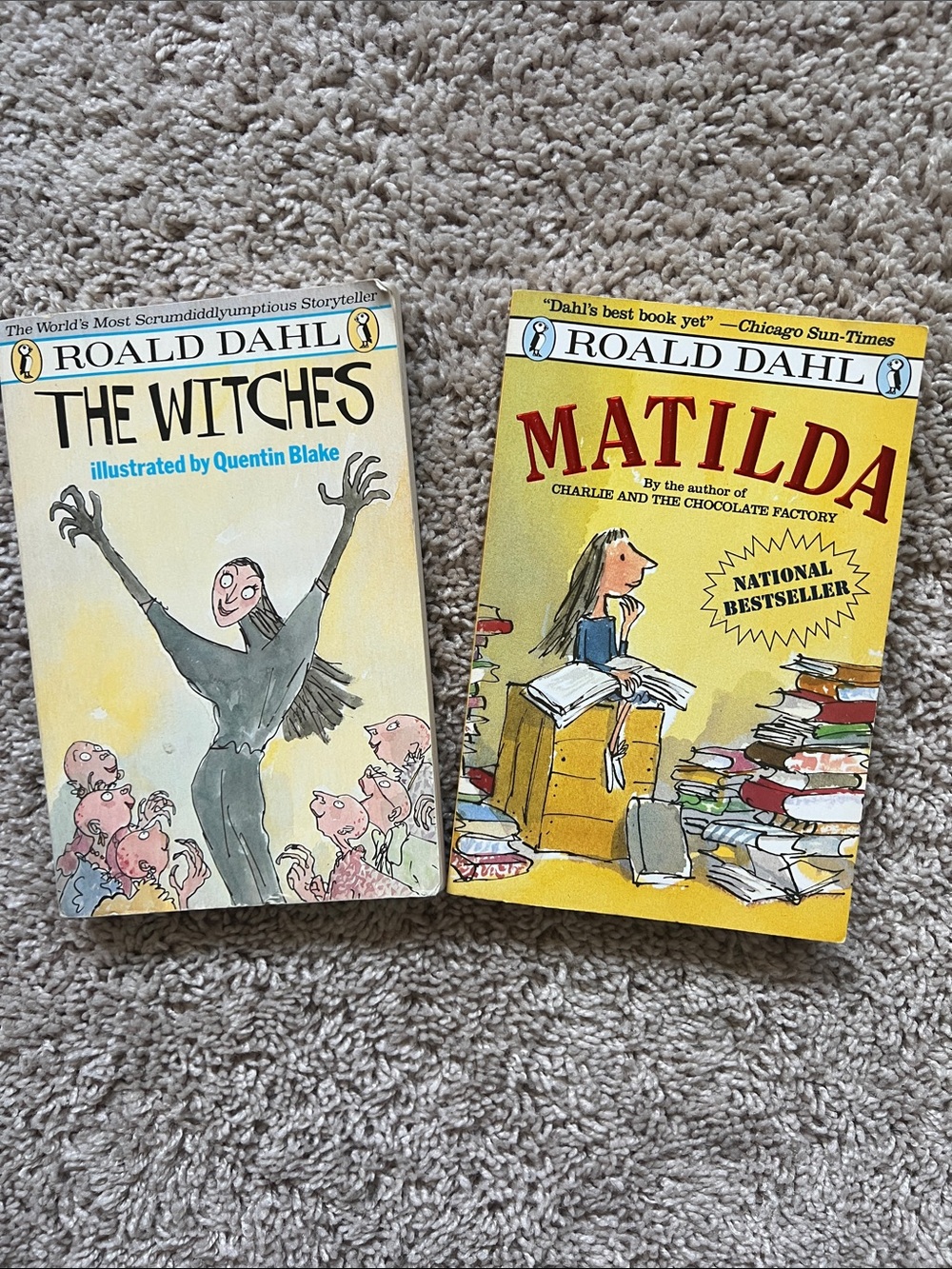 Roald Dahl Vintage Paperback Set — The Witches & Matilda